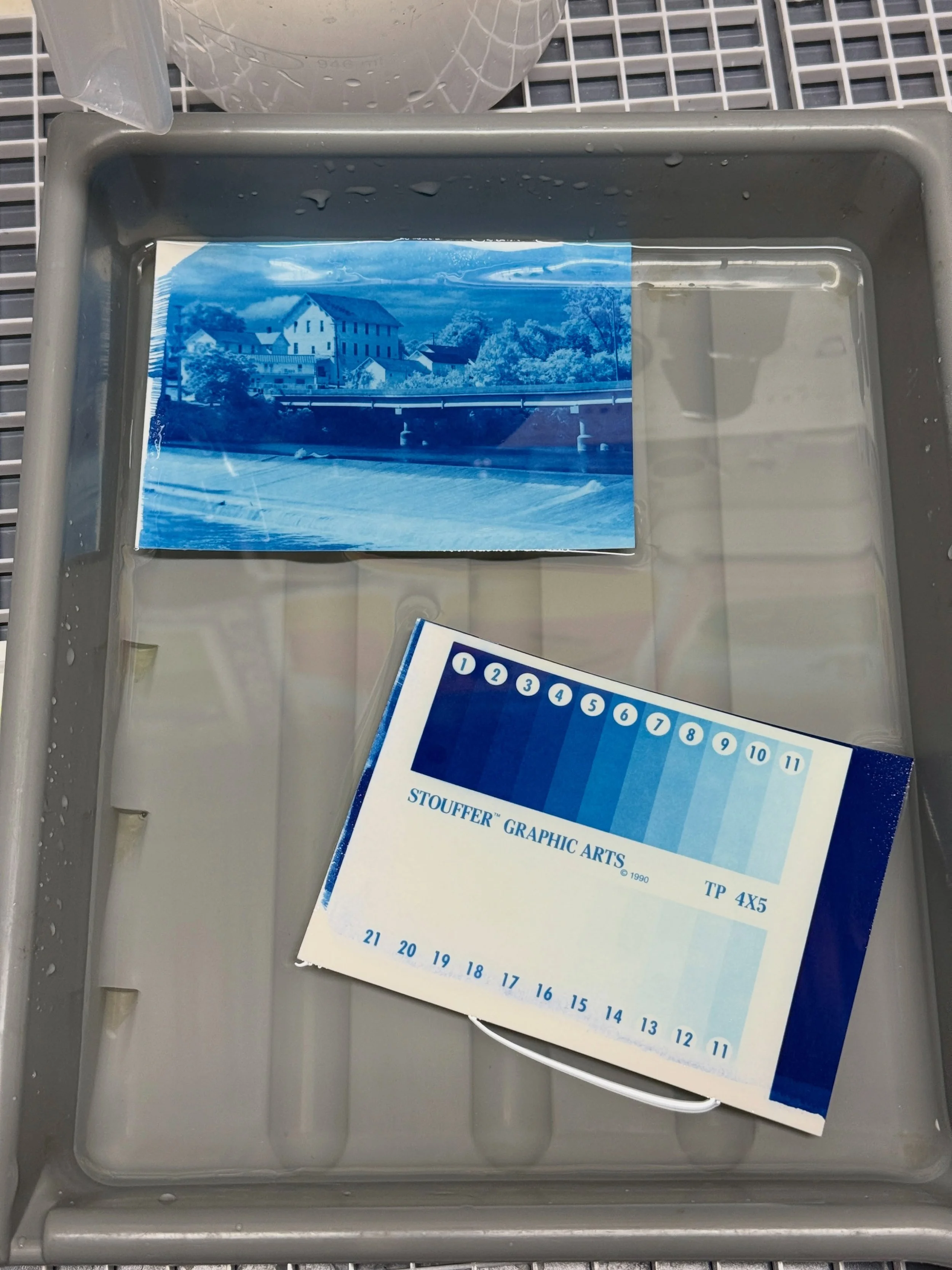 I almost forgot it was World Cyanotype Day. I&rsquo;m just starting to dip my toes in those blue waters. However, I can certainly see the potential.