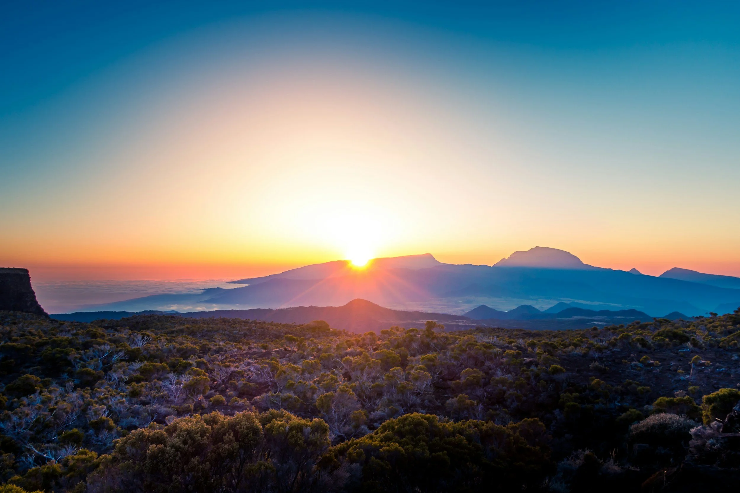 Sunrise over mountain range with a clear sky and sparse vegetation in the foreground.