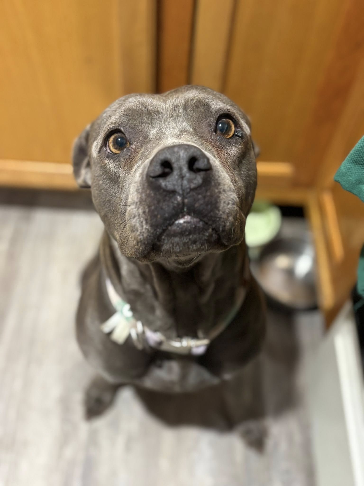 605314102_1187763053529930_3468964050337240200_n (1).jpg