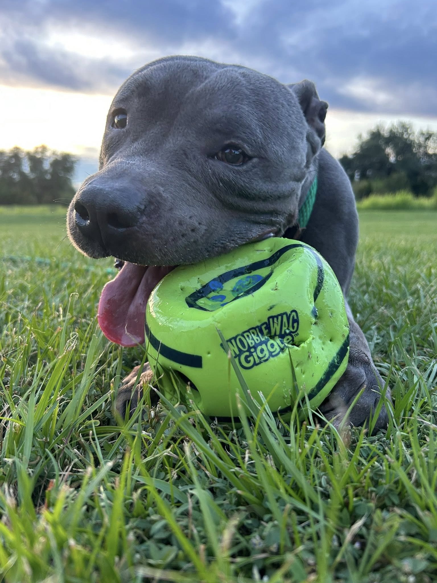 556121391_1112920867680816_6763593055503810371_n (2).jpg