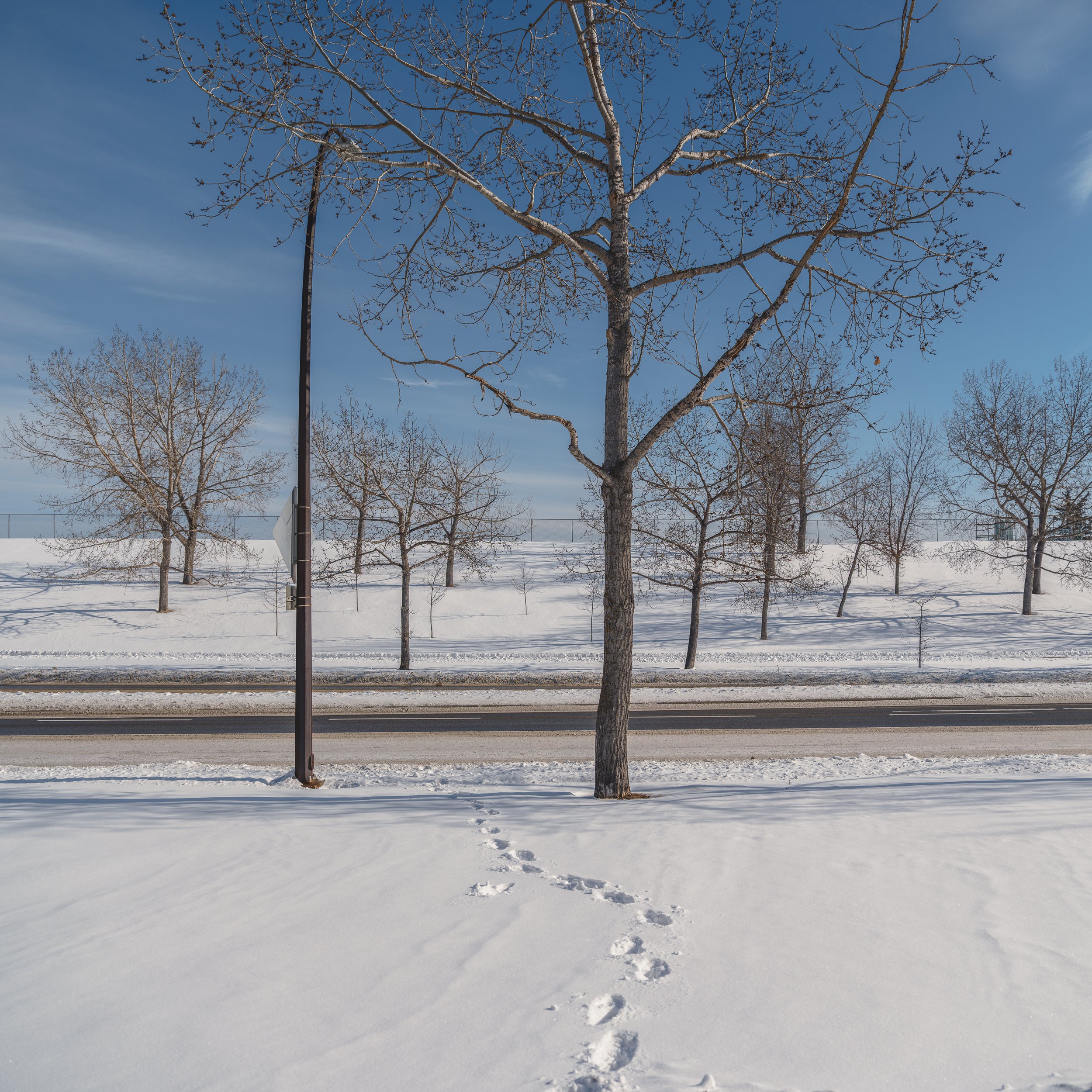 DSCF9533.jpg