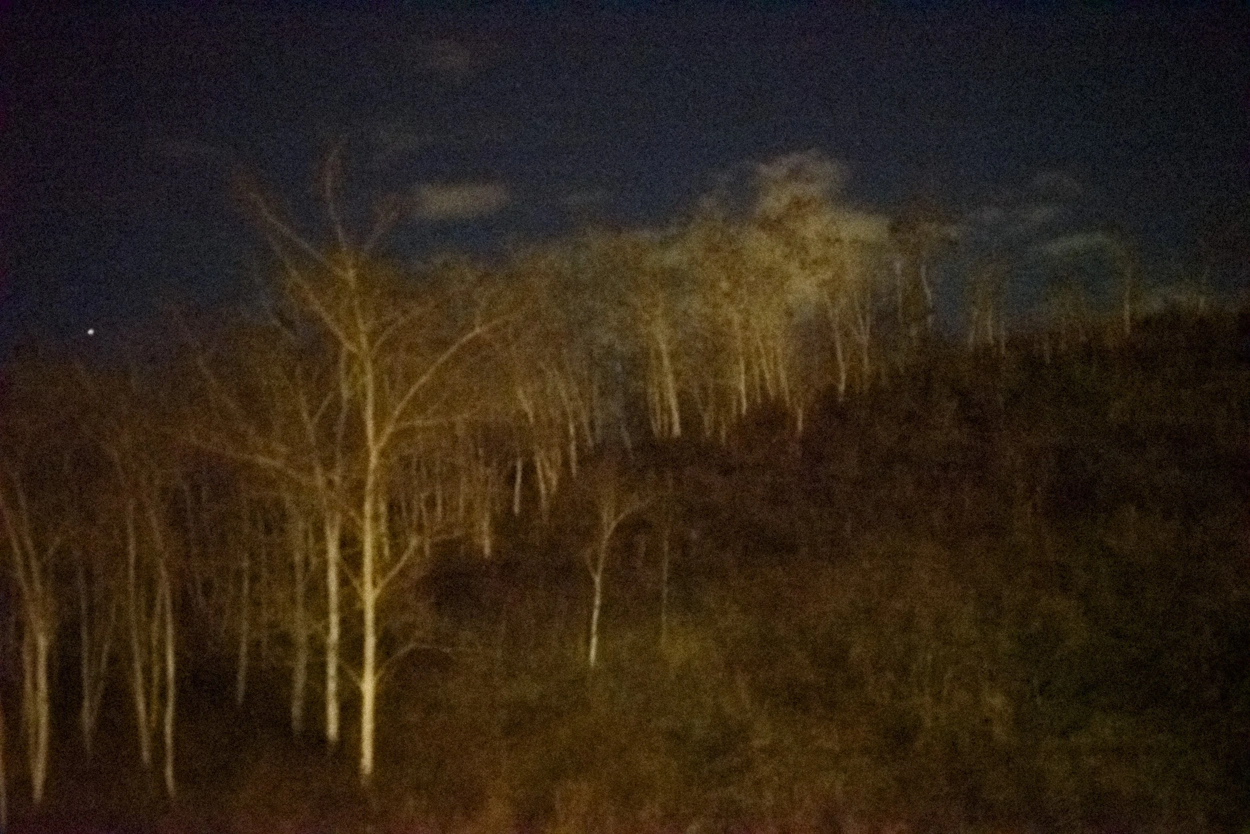 DSC_3551.jpg