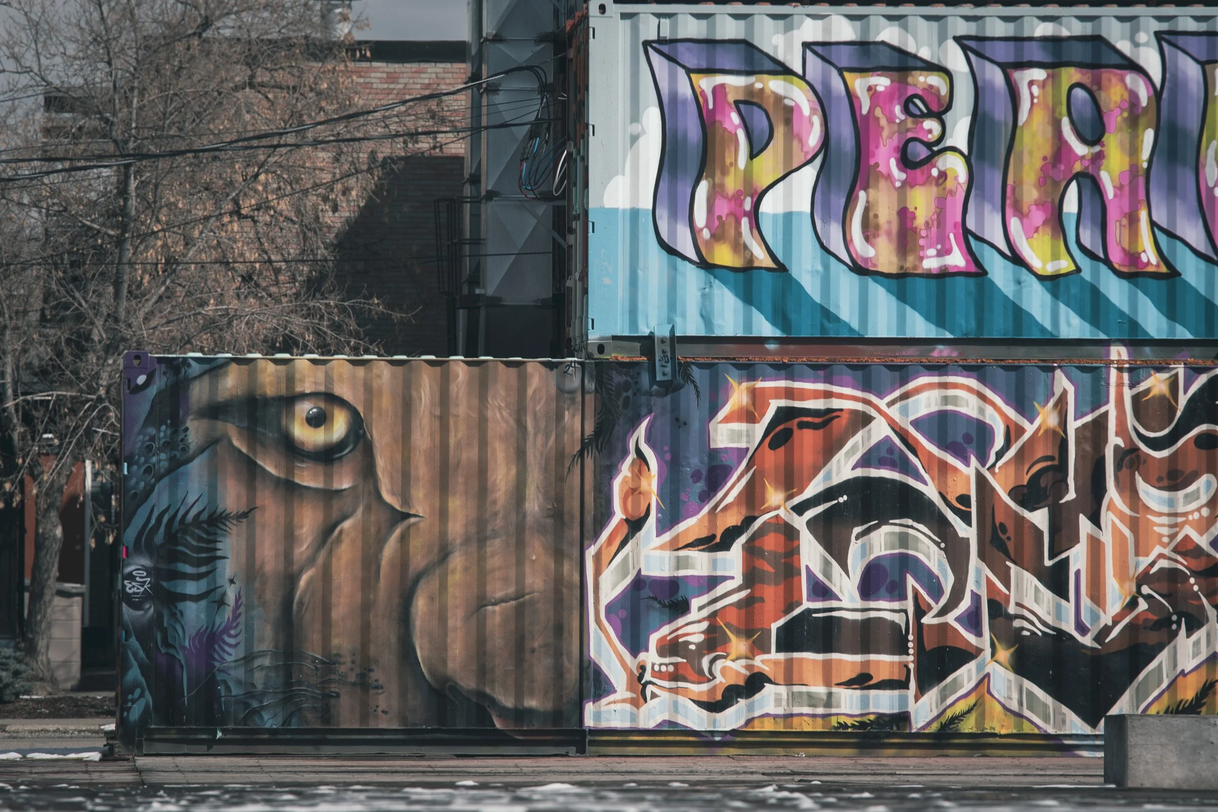 Graffiti art on shipping containers featuring a stylized bird with an eye and intricate patterns in vibrant colors.