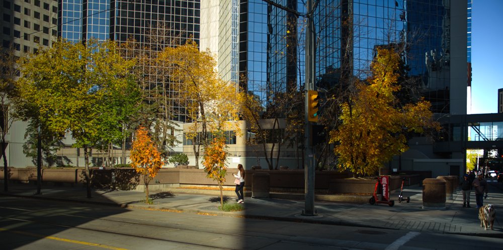 DSC_2100.jpg
