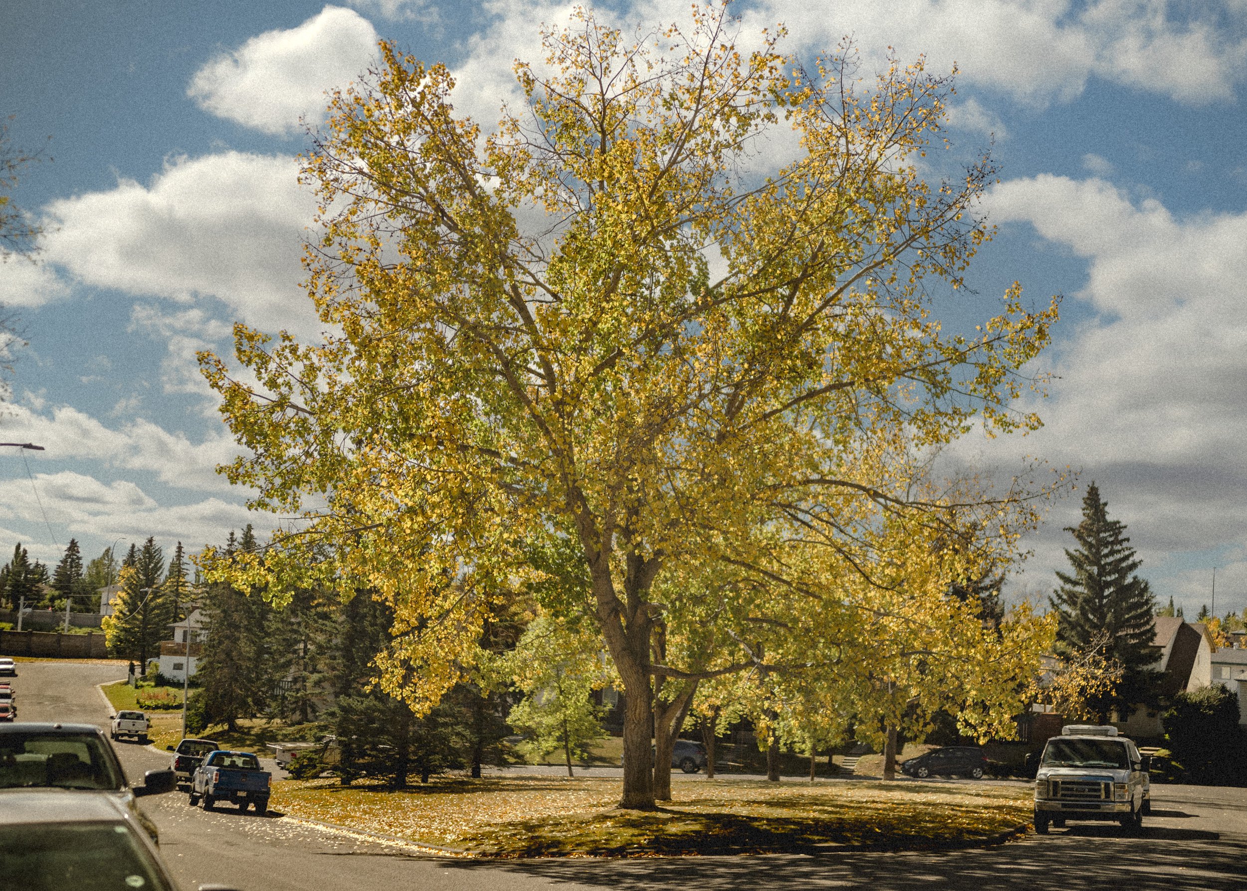DSC_1366.jpg