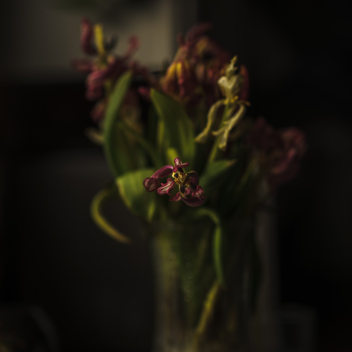 DSCF3642-2.jpg