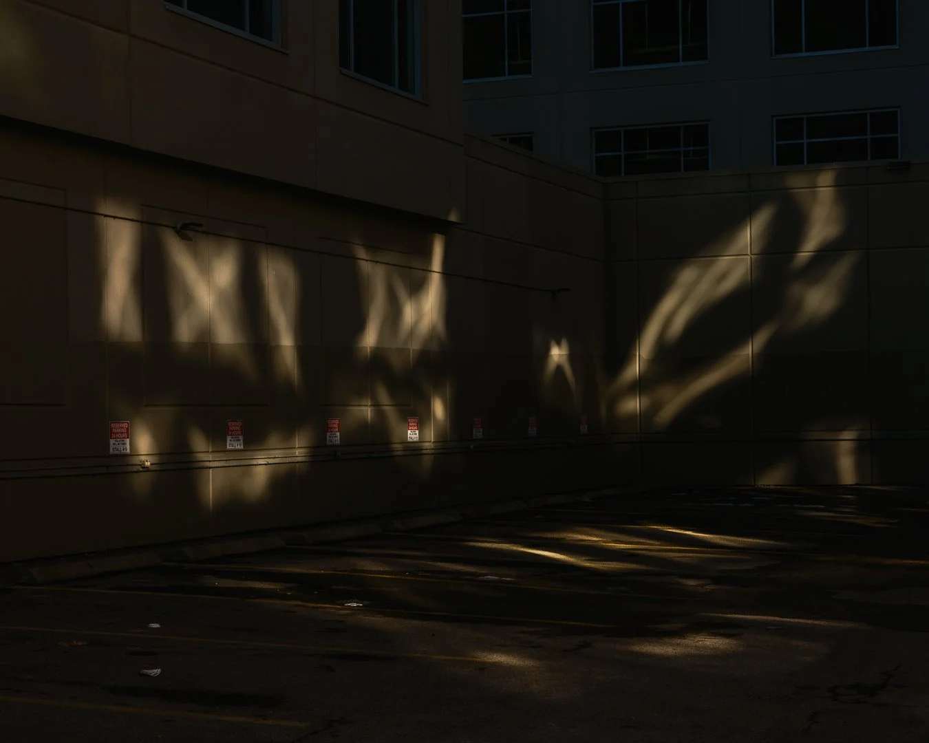 DSCF9580-1.jpg