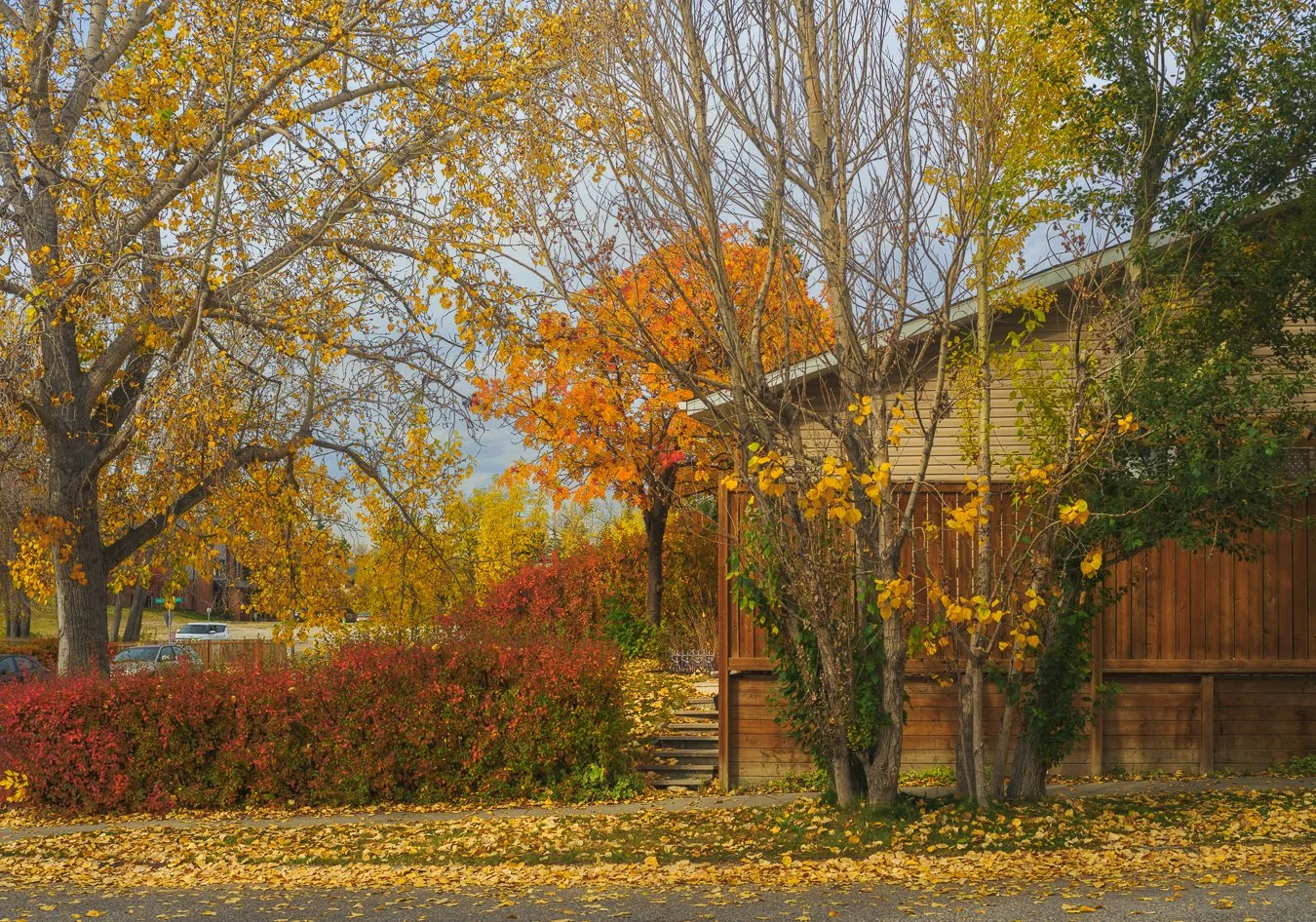 DSCF2663-1.jpg