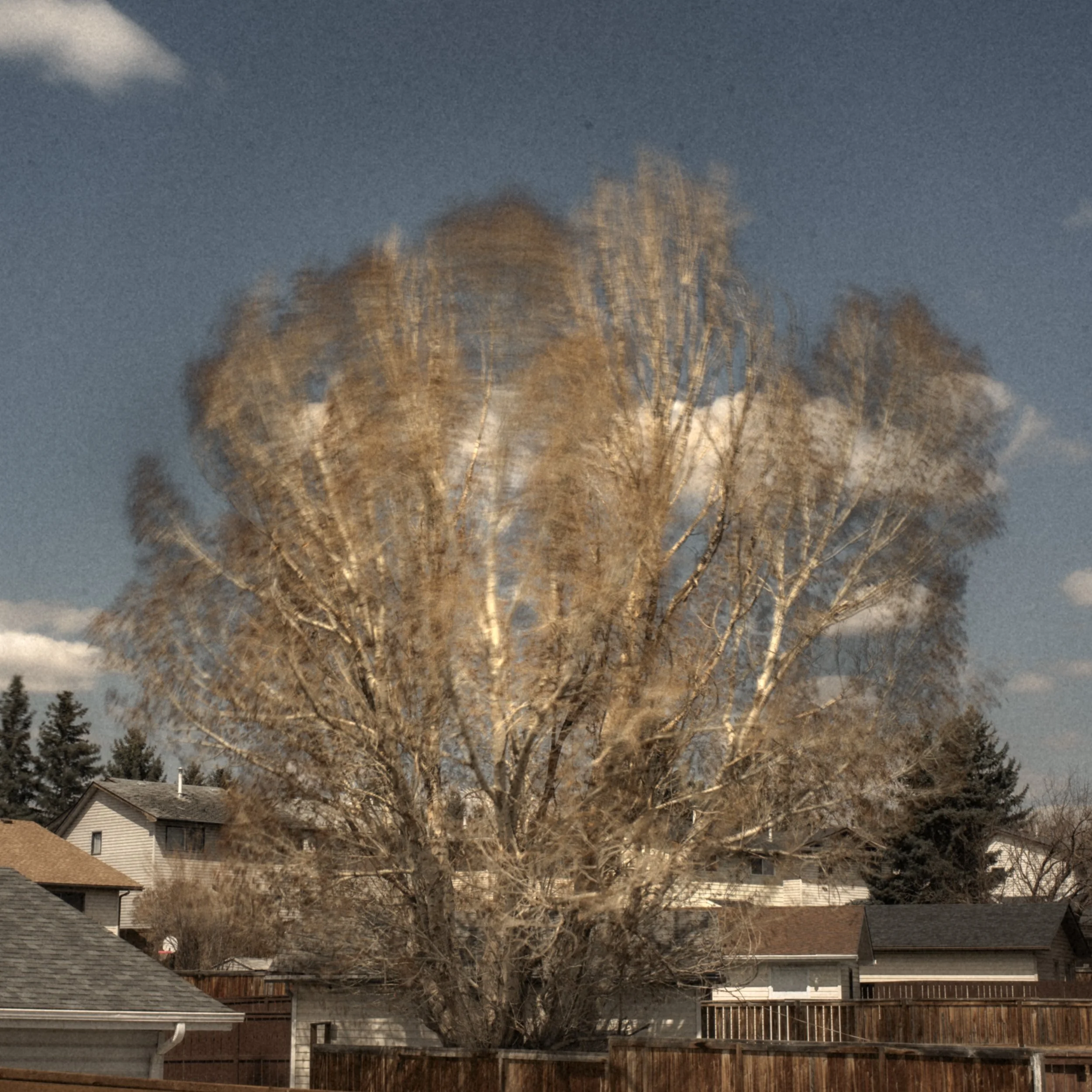 DSC_4298.jpg
