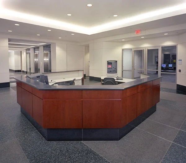 7-Government-South-County-Government-Center_html_23e01ca.jpg