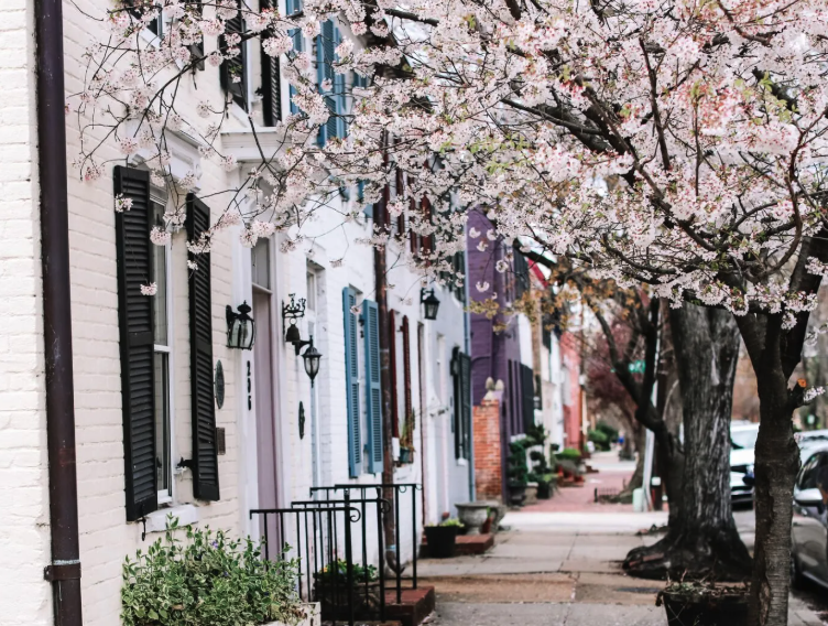 4th Annual Alexandria Springtime Art Festival