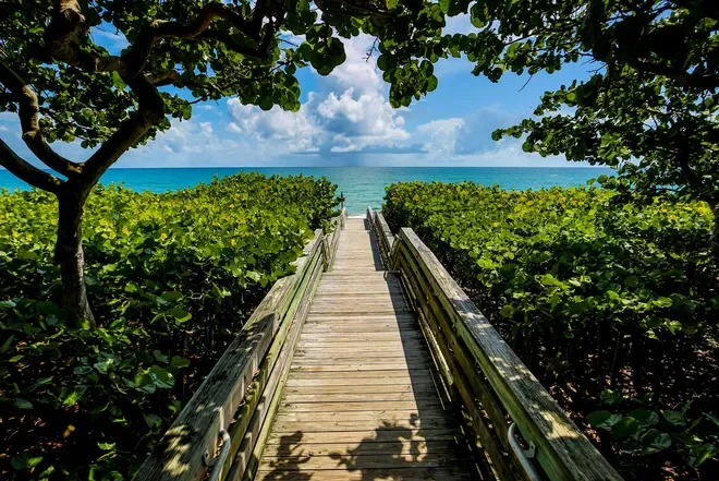 36th Annual ArtFest by the Sea at Juno Beach presented by Palm Beach Gardens Medical Center