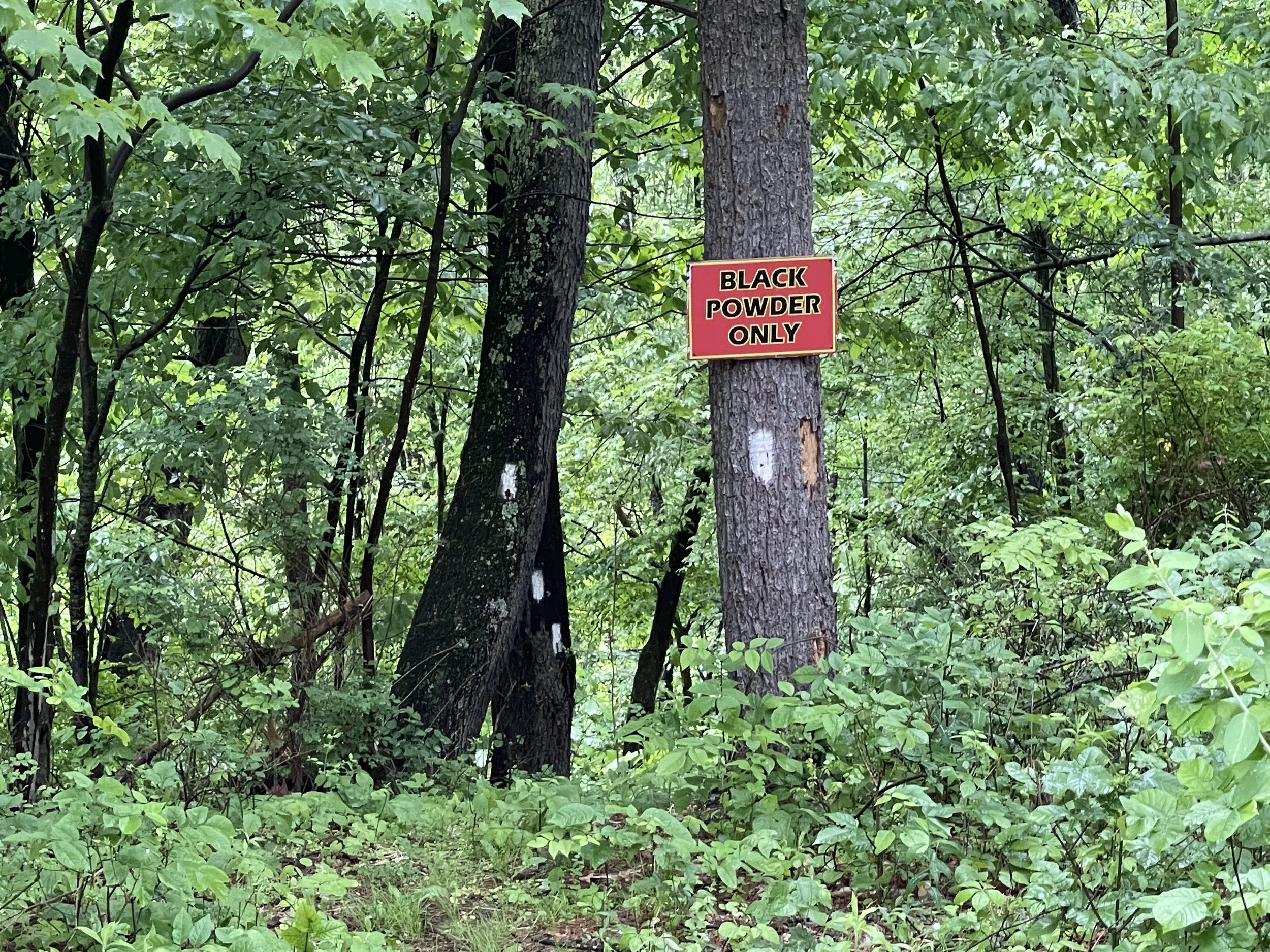 A wooded area with green trees and bushes, featuring a red sign on a tree that reads 'BLACK POWDER ONLY' in black and yellow lettering.