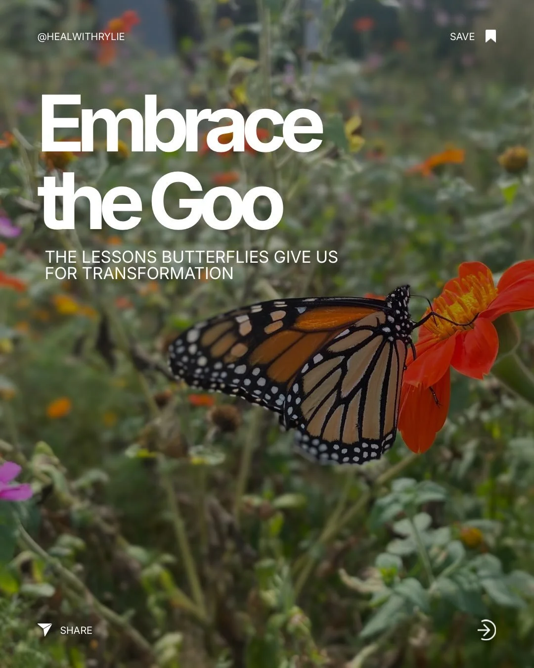If you&rsquo;re feeling overwhelmed or in the dark, this is for you. 🦋🦋

💌 NEW Planting Starseeds is live💫

Each Wednesday, I drop a channeled message that reflects love, light and wisdom from the cosmos so that we can embody the path of our high