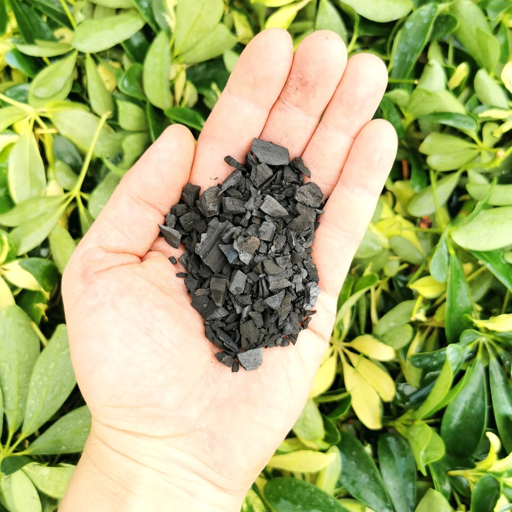 Horticultural Charcoal