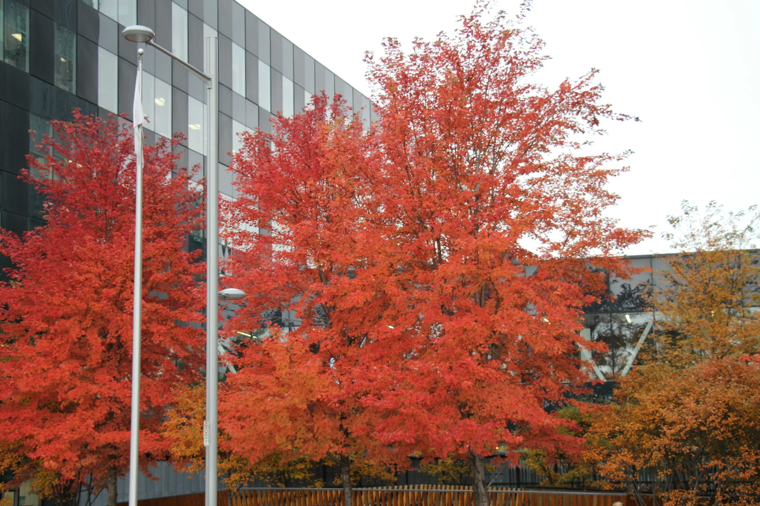 From Heatwaves to Heating: Preparing Your Business for Seasonal Energy Shifts