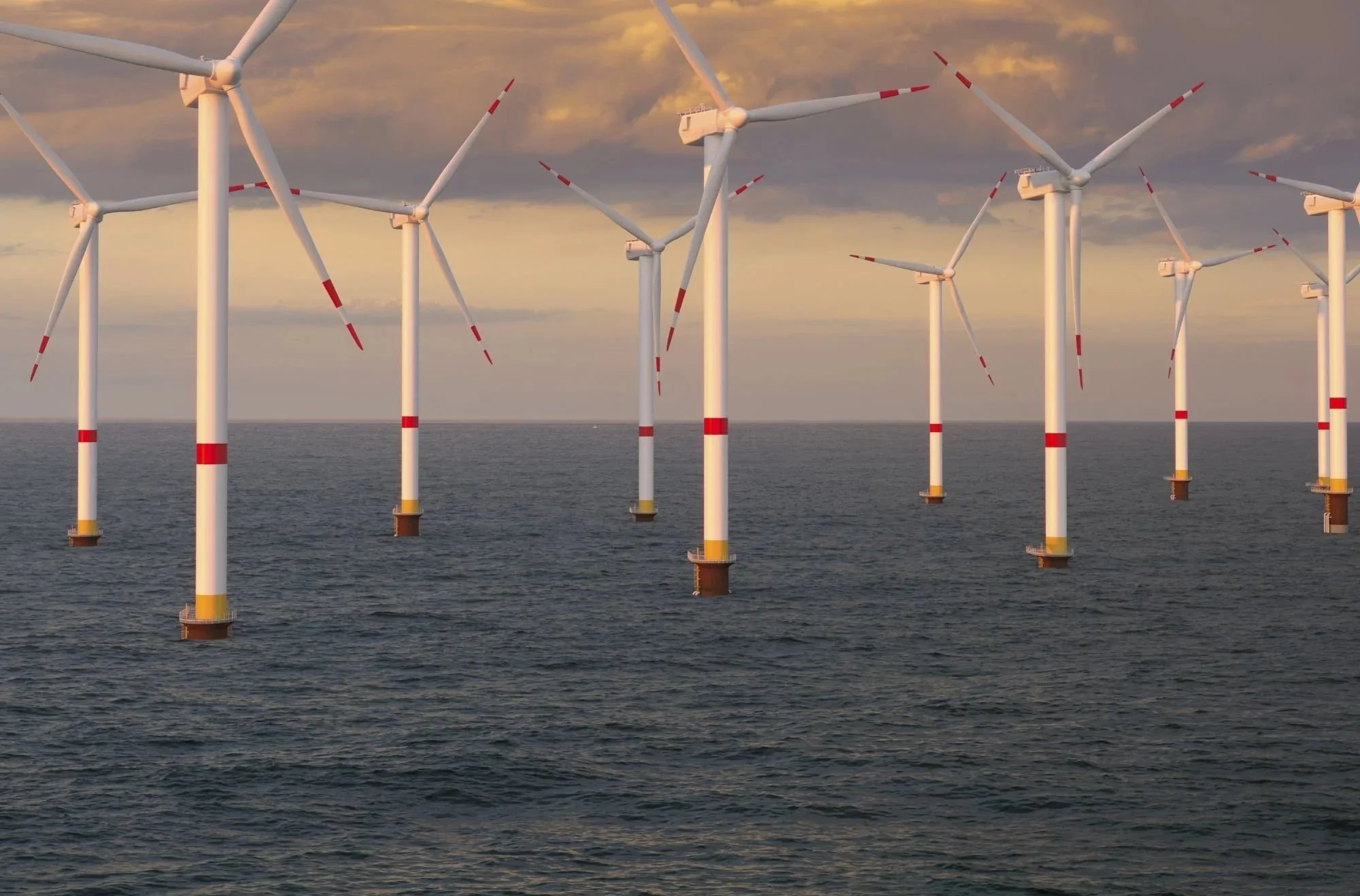 CEB Newsletter - September 2025