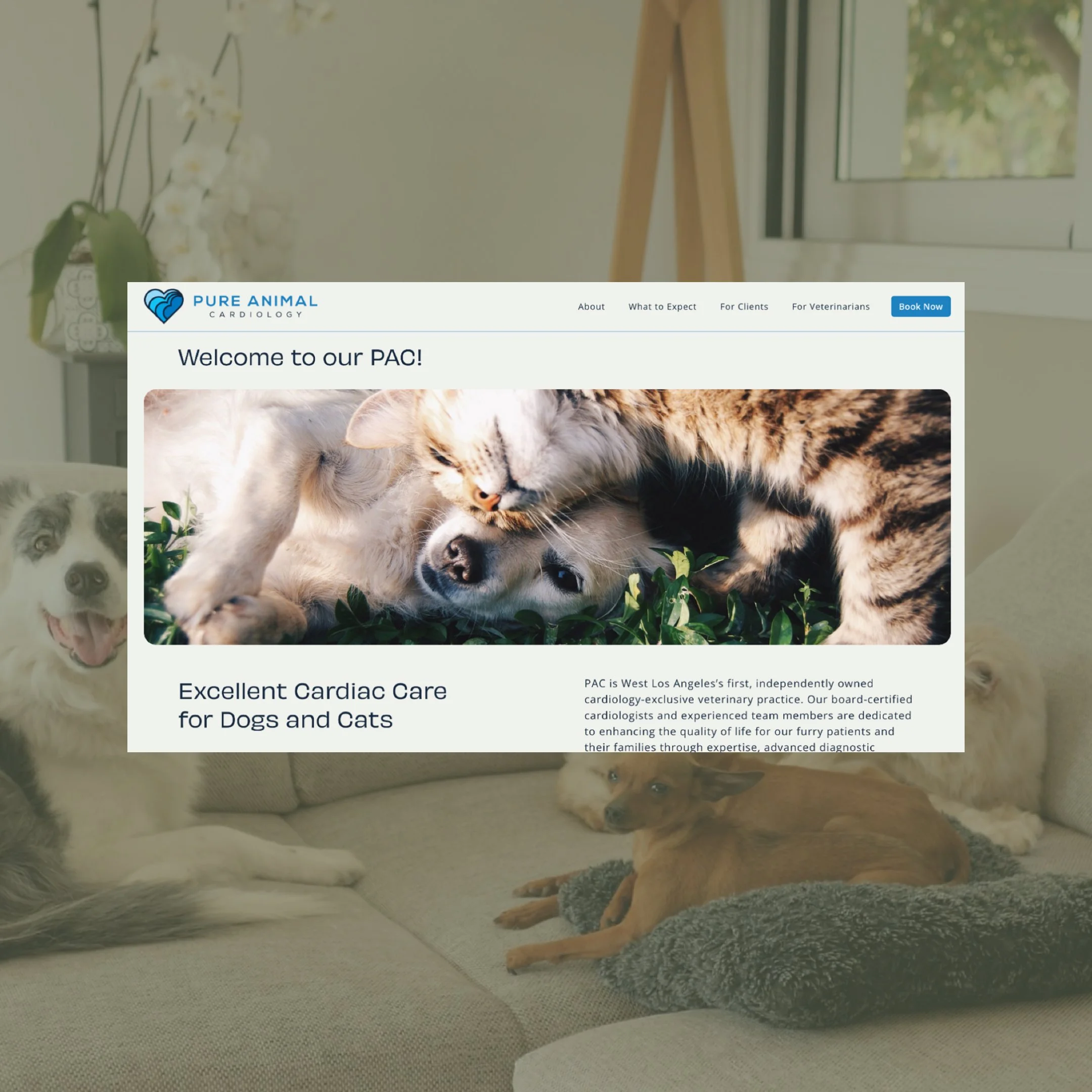 PAC - Pure Animal Cardiology