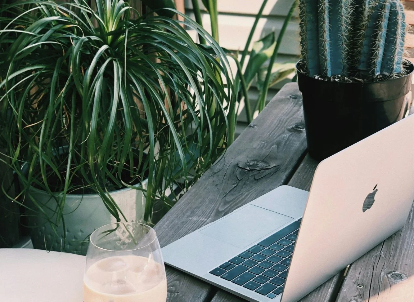 A wooden outdoor table with a silver MacBook laptop, a glass of light-colored beverage, a large green potted plant, and a tall cactus in a black pot. There is a wooden deck in the background.