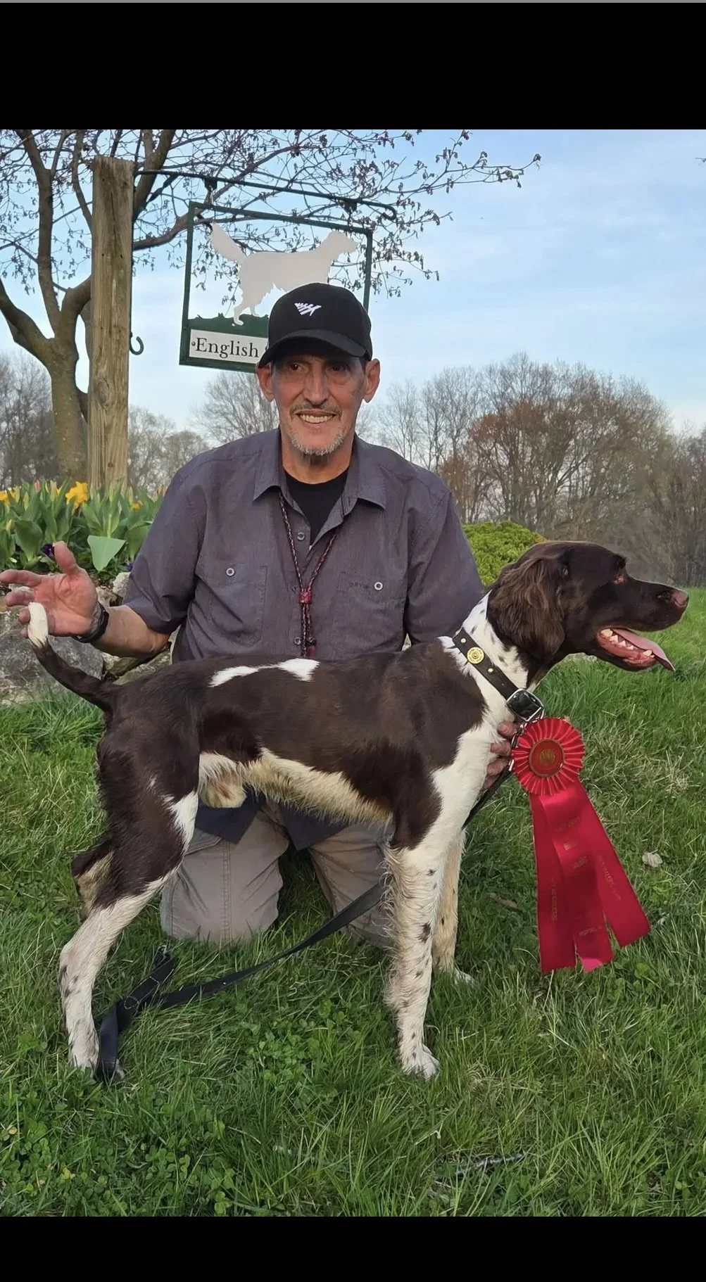 A man kneeling outdoors on green grass, holding an English Setter dog with a red ribbon rosette. The man is wearing a black cap and a gray shirt, while the dog is black and white.