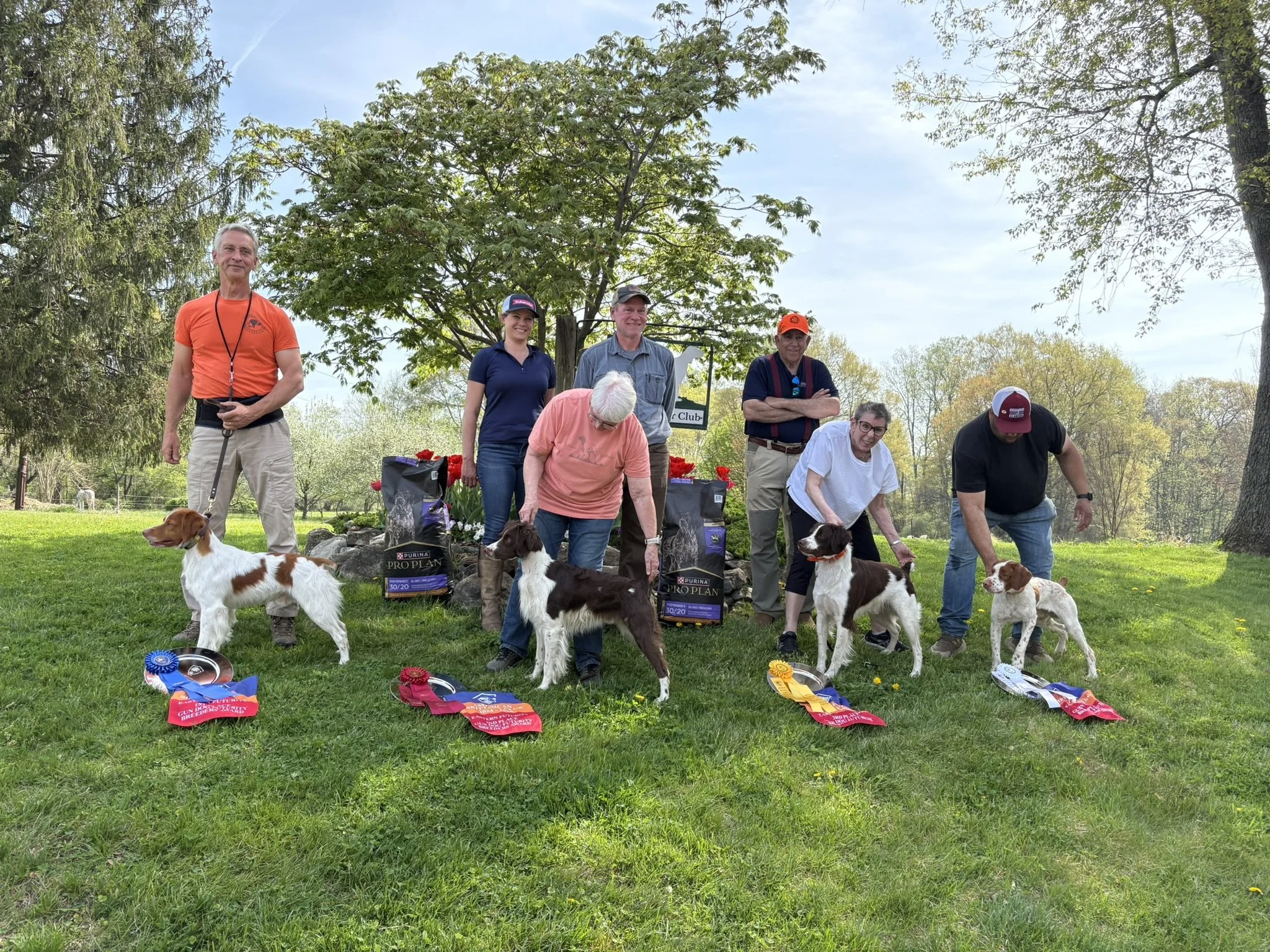Leo with other placements at 2026 futurity gun dog.JPEG