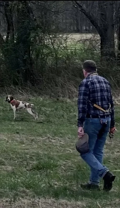 A man walking in a grassy area with a dog in the background, the dog is wearing a red collar and appears to be looking back at the man while standing on grass near trees.