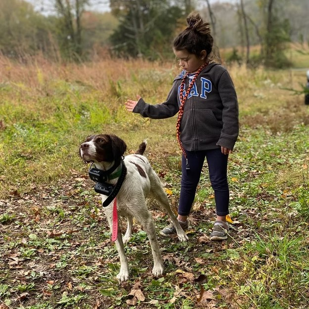 Children love Brittanys.  Brittanys love children.