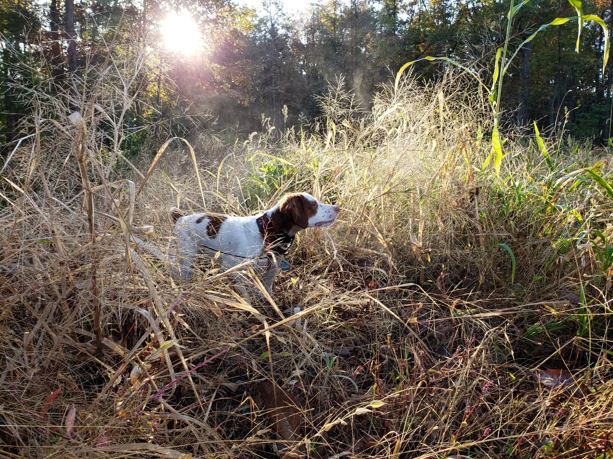 Beautiful day, beautiful Brittany, beautiful point!
