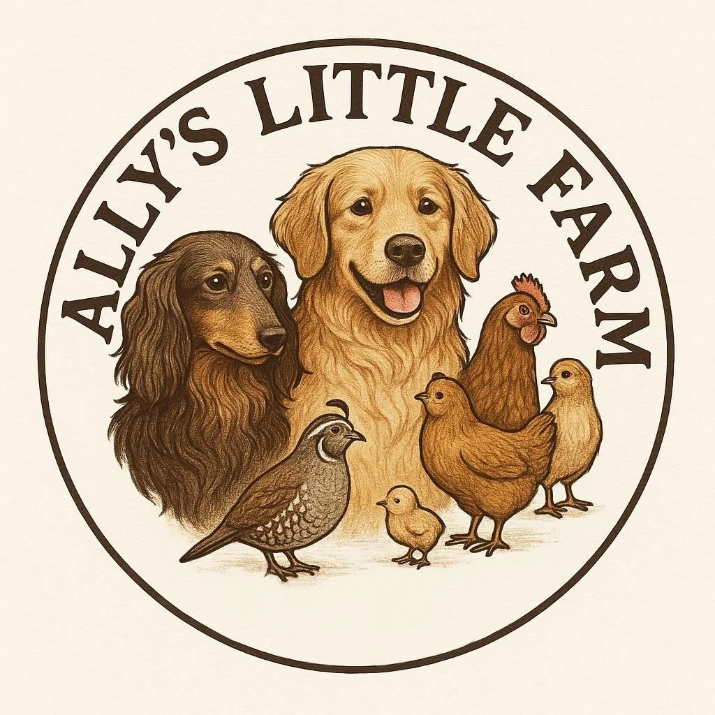 Ally's Little Farm