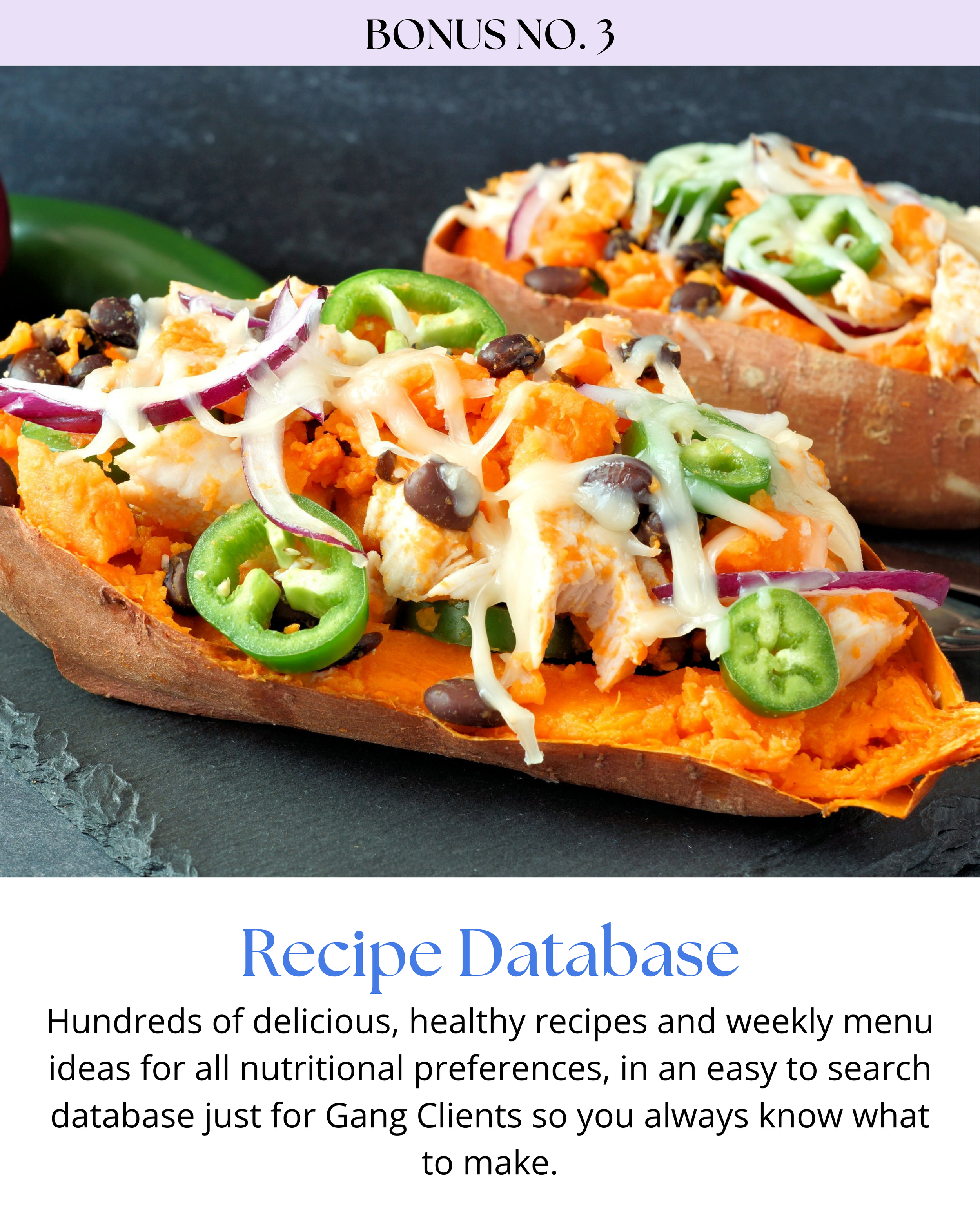 recipe database.png