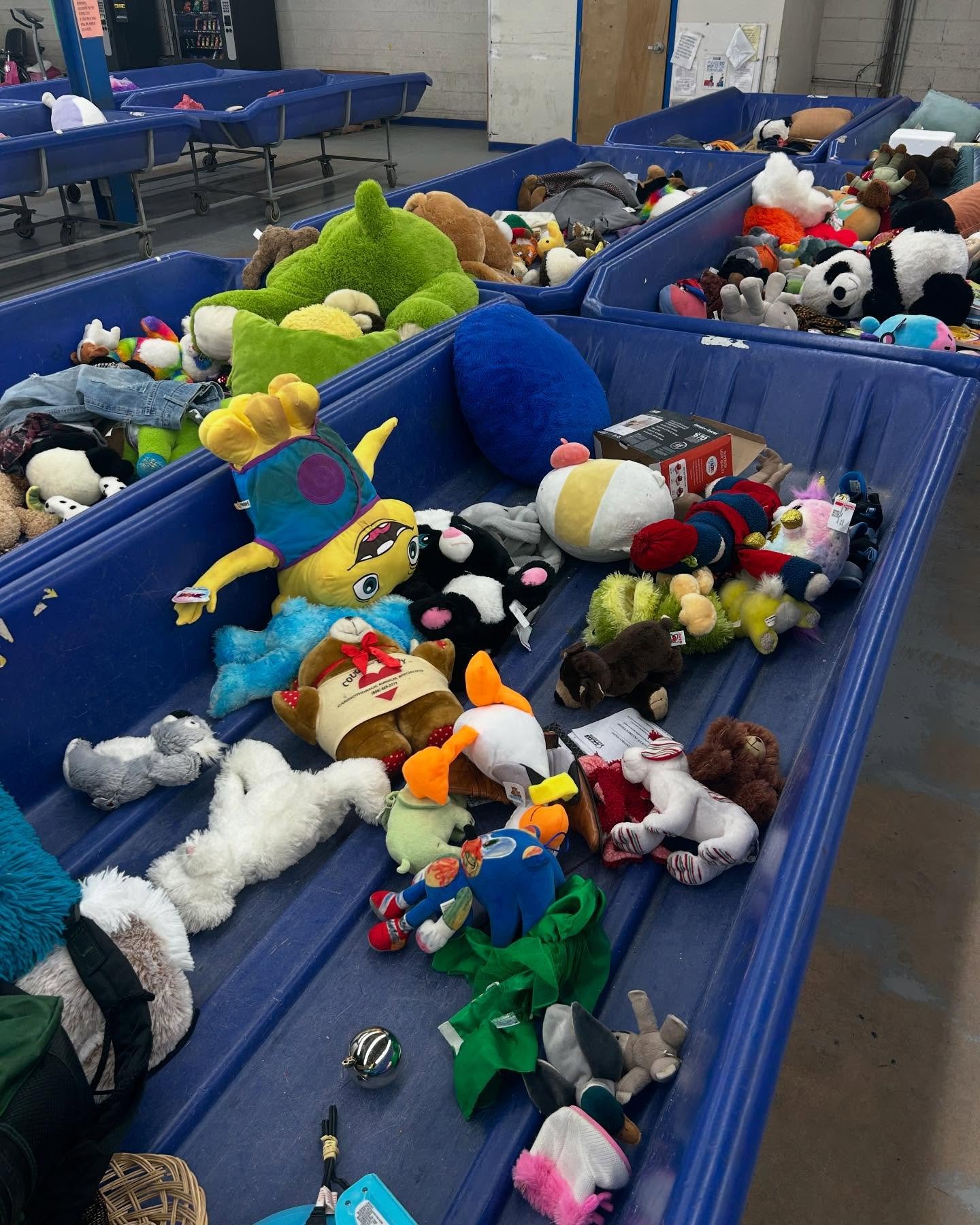 Bins 2/23/25 shoes and stuffies