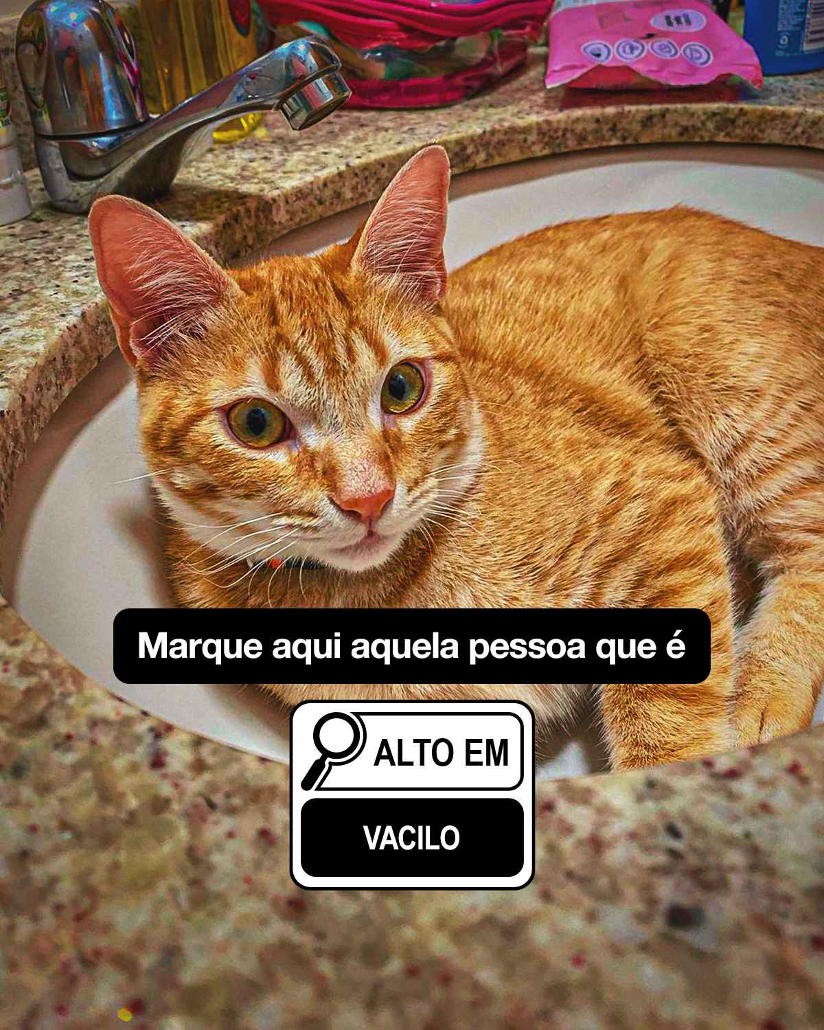 IDEC-rotulagem-carrossel-Card-9.png