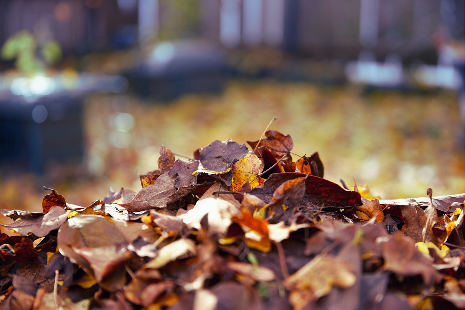 Mow Add-on: Leaf Removal