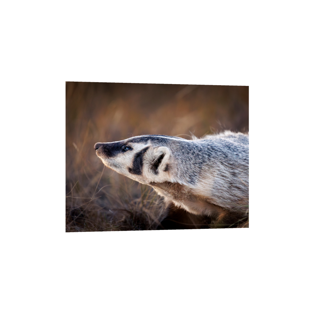 ptq_34_6_500_0_5000_4000_0_false_ffffff_0_0_.png
