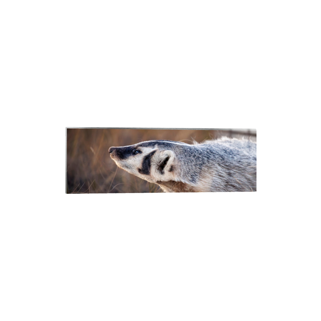 ptq_13_2_0_1060_6000_2000_0_false_ffffff_0_0_.png