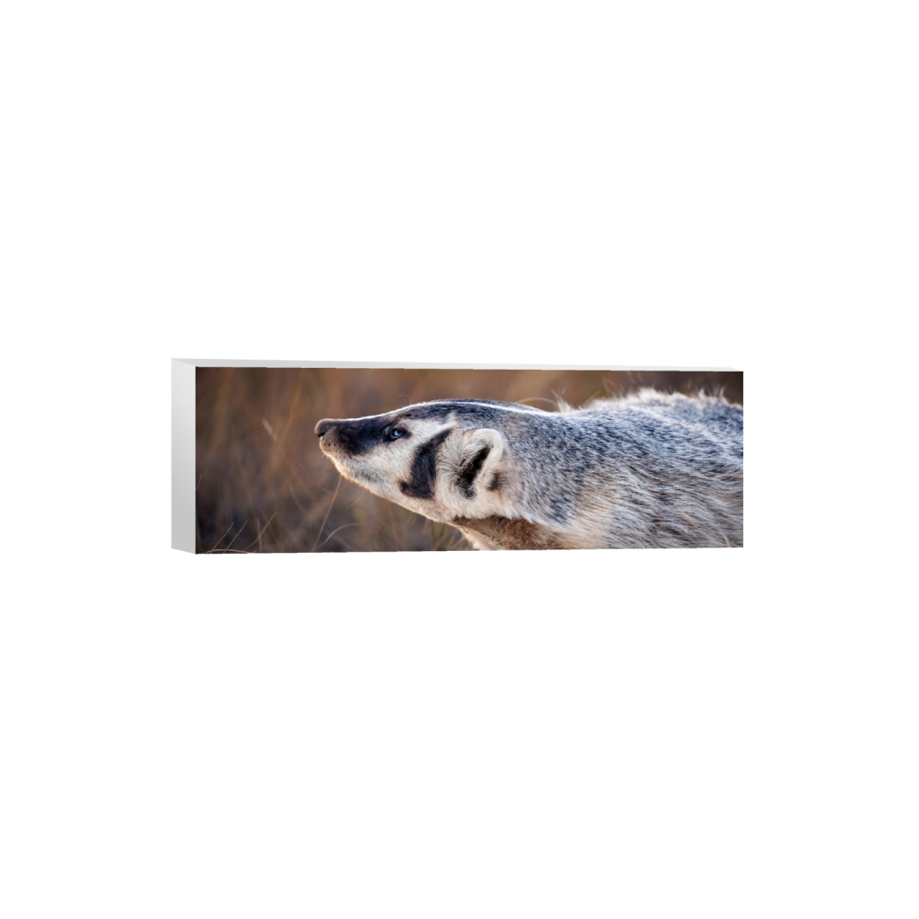 ptq_7_2_0_1060_6000_2000_0_false_ffffff_0_0_.png