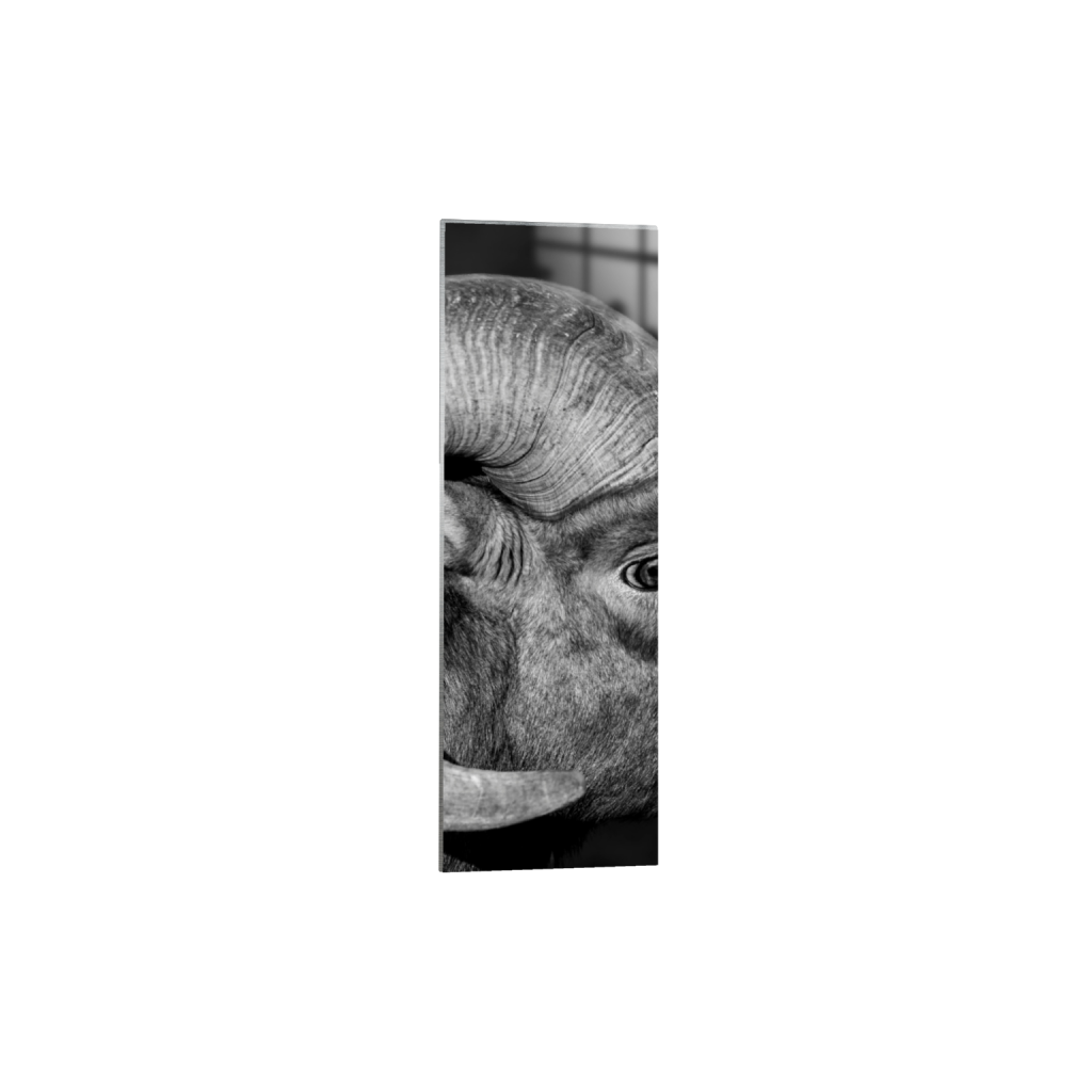 ptq_13_2_2777_0_2749_8249_0_false_ffffff_0_0_.png