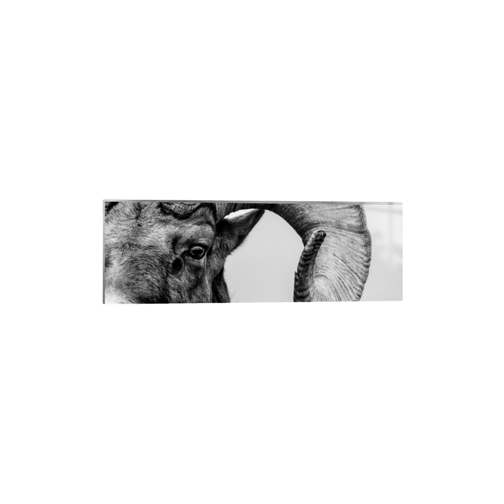 ptq_13_2_0_1720_6000_2000_0_false_ffffff_0_0_.png