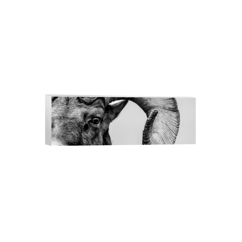 ptq_7_2_0_1720_6000_2000_0_false_ffffff_0_0_.png
