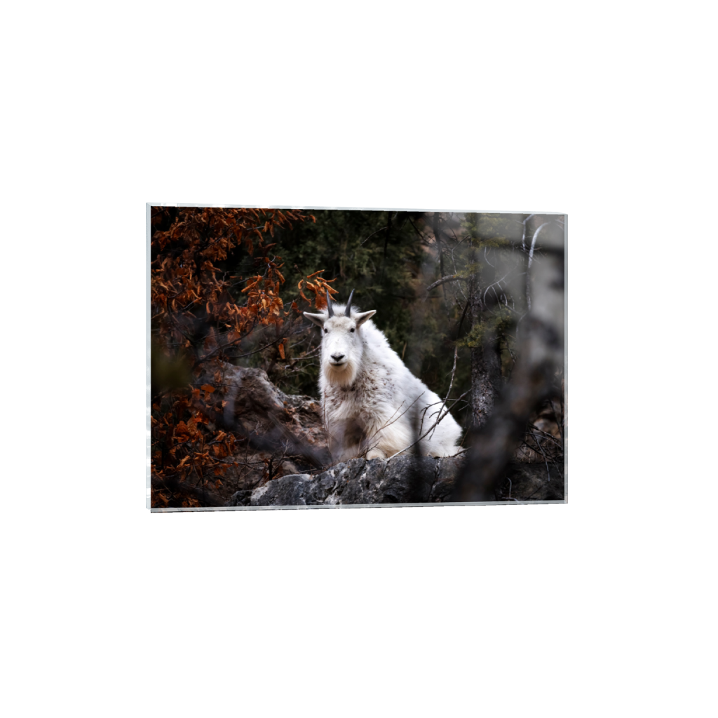 ptq_17_7_192_0_5405_3861_0_false_ffffff_0_0_.png