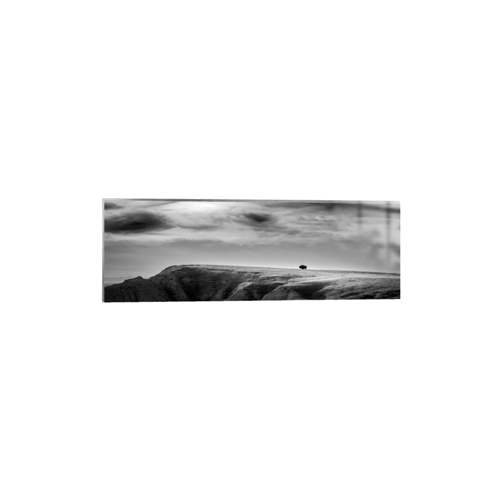 ptq_13_2_0_1360_6000_2000_0_false_ffffff_0_0_.png