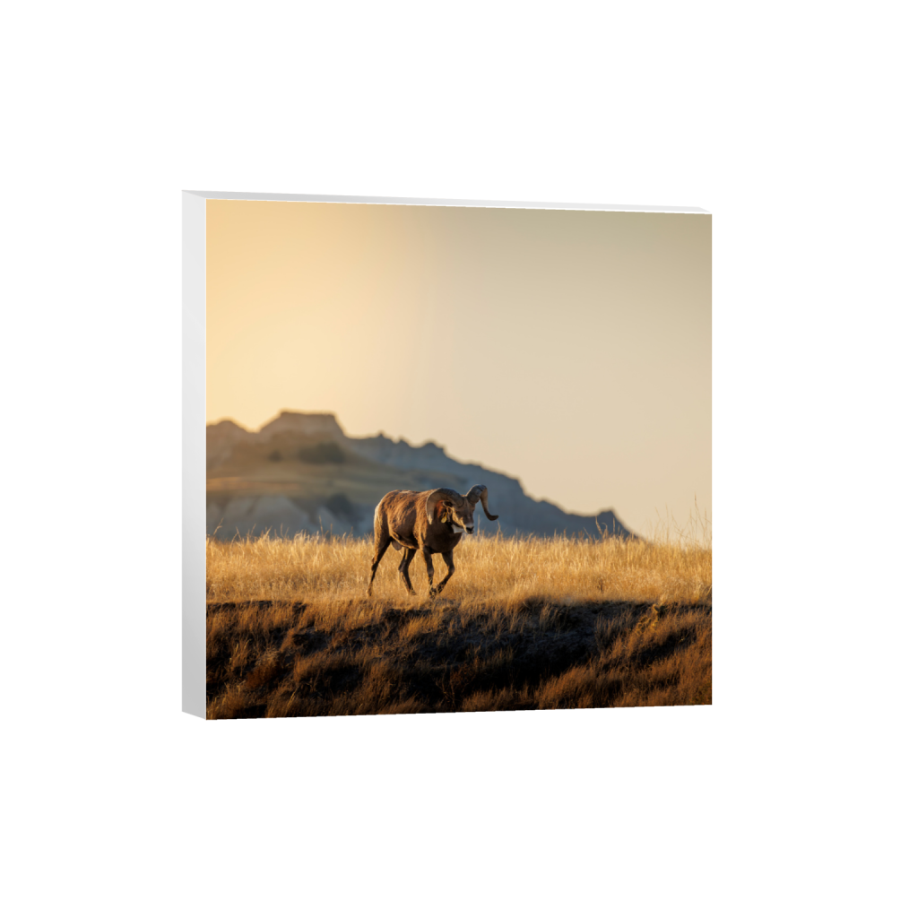 ptq_7_0_640_0_4000_4000_0_false_ffffff_0_0_.png