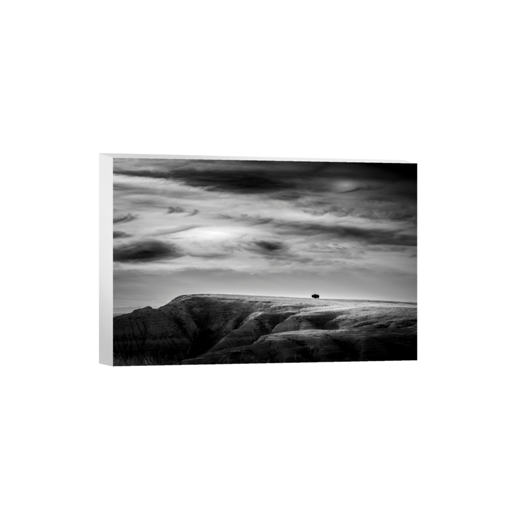 ptq_7_3_0_0_6000_4000_0_false_ffffff_0_0_.png