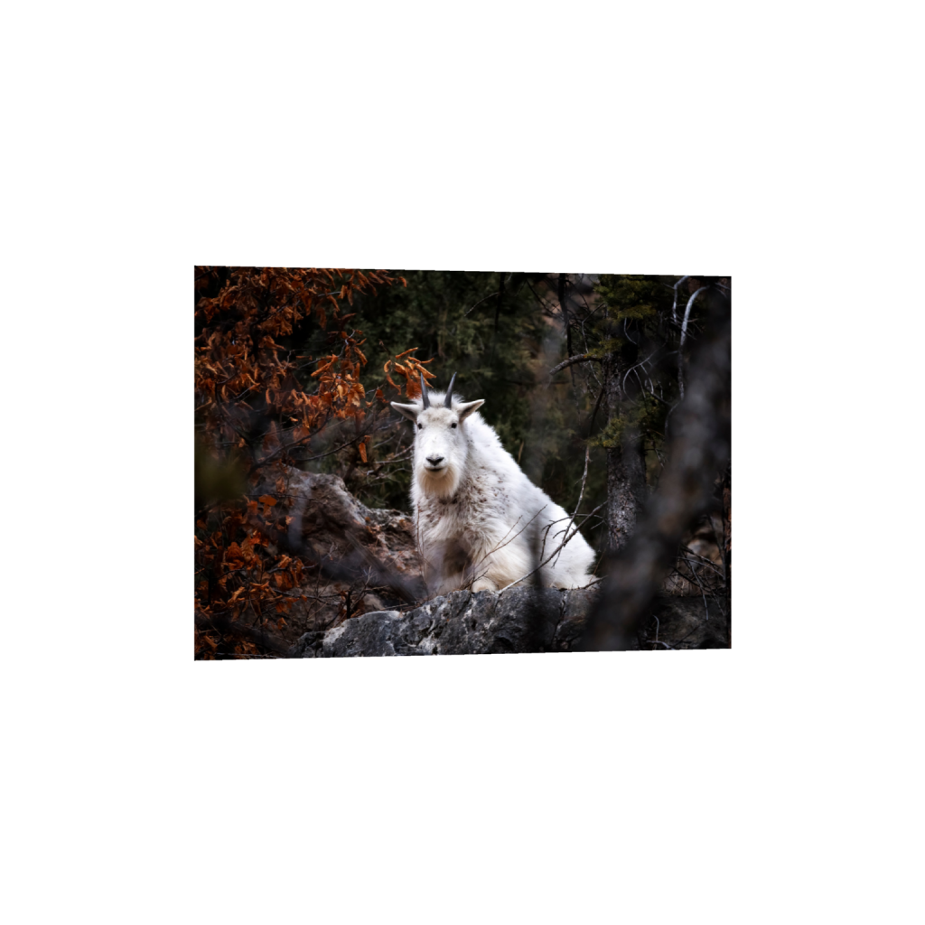 ptq_34_7_192_0_5405_3861_0_false_ffffff_0_0_.png