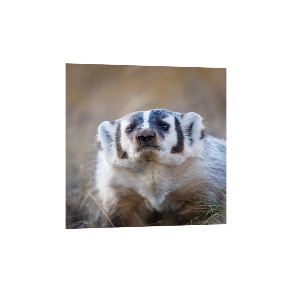 ptq_34_0_1340_0_4000_4000_0_false_ffffff_0_0_.png