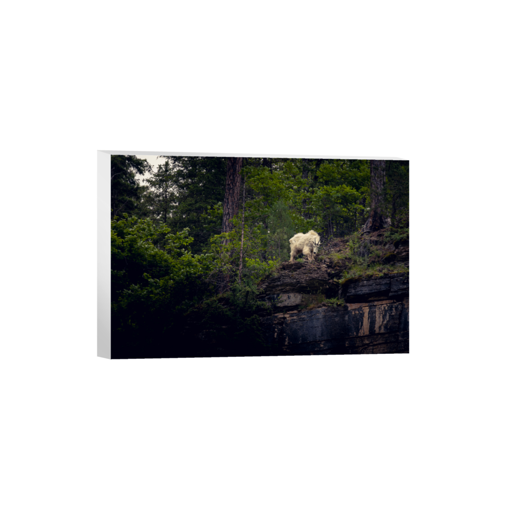 ptq_7_3_0_400_6000_4000_0_false_ffffff_0_0_.png
