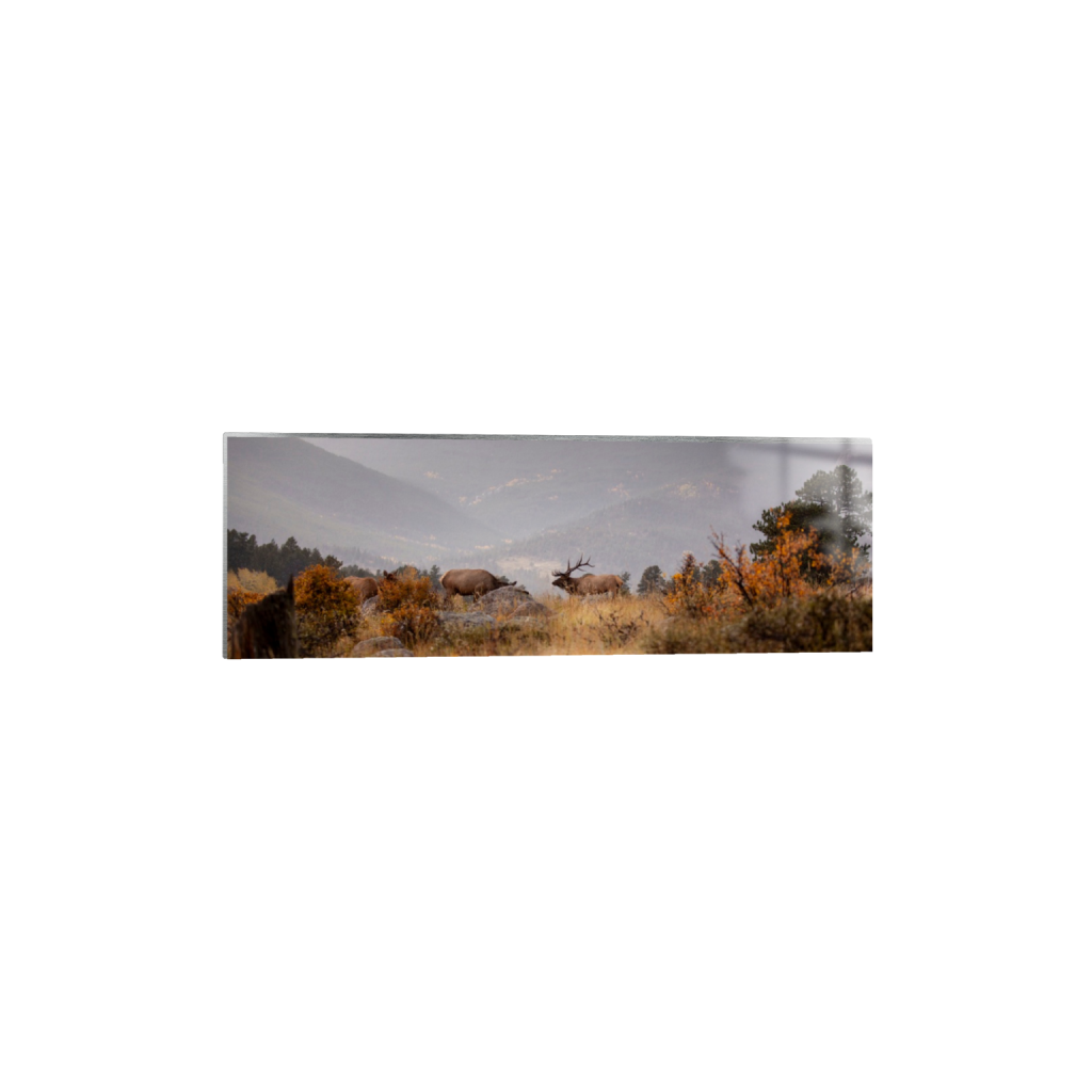 ptq_13_2_0_692_5616_1872_0_false_ffffff_0_0_.png