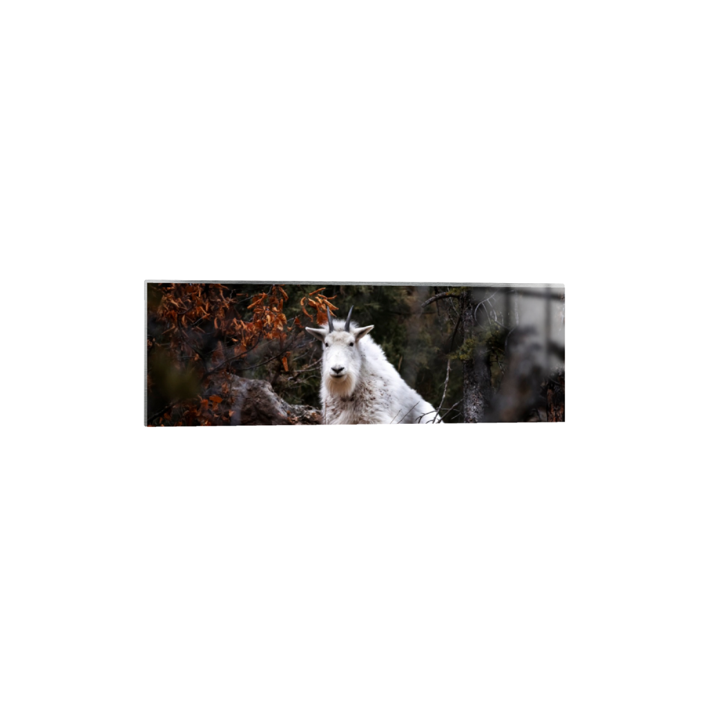 ptq_13_2_0_733_5791_1930_0_false_ffffff_0_0_.png
