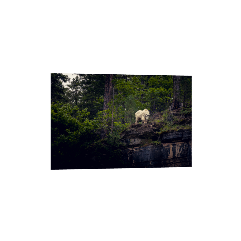 ptq_34_3_0_400_6000_4000_0_false_ffffff_0_0_.png