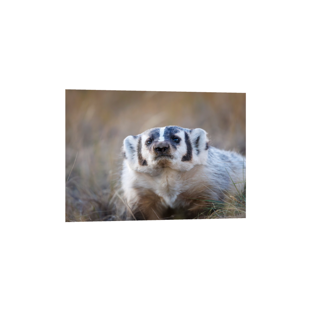 ptq_34_7_400_0_5600_4000_0_false_ffffff_0_0_.png